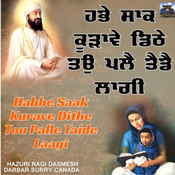 Habbe Saak Kurave Dithe Tou Palle Taide Laagi