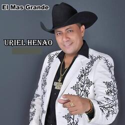 Te Fuiste Volar a Otro Nido