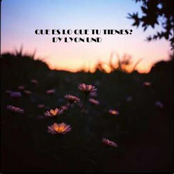 QUE ES LO QUE TU TIENES?