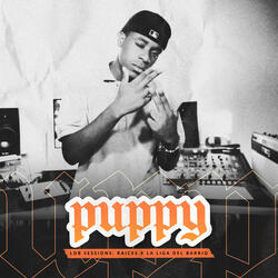 LDB Sessions: Puppy