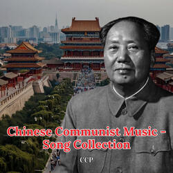 The Liberation Army Firmly Supports The Proletarian Revolutionaries