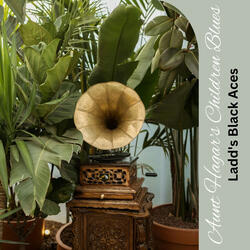 Aunt Hagar's Children Blues