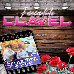 El rengo del gallo giro