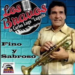 Cual Maestro