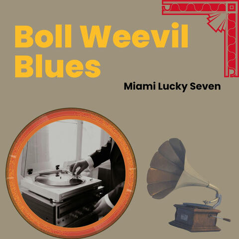Boll Weevil Blues