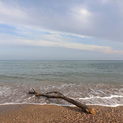 Ella (Mentre els núvols ja se'n van)