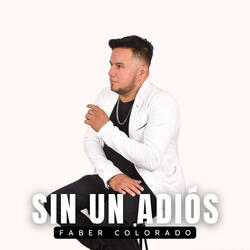 Sin un Adiós