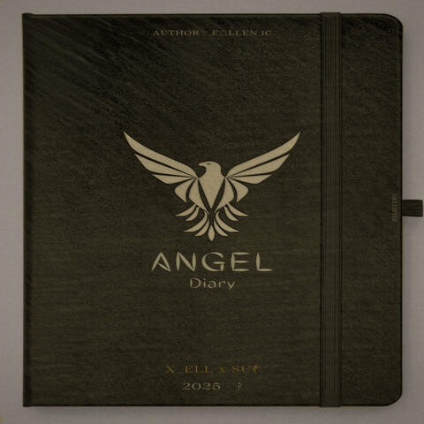 Angel Diary