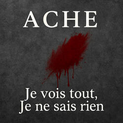 Je vois tout, Je ne sais rien