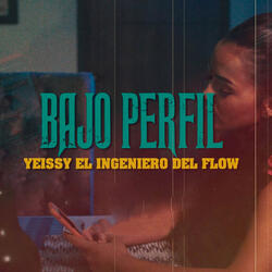 Bajo Perfil