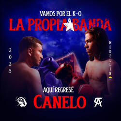 AQUÍ REGRESÉ CANELO