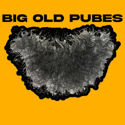 Big Old Pubes