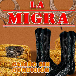 Cariño Sin Condición