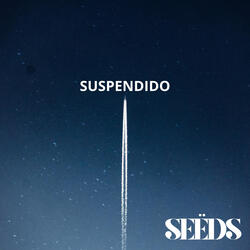 SUSPENDIDO