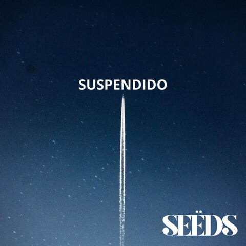 SUSPENDIDO
