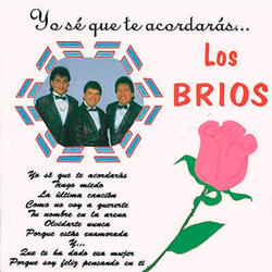 Como No Voy a Quererte