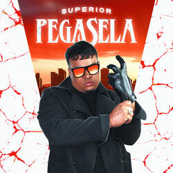 PEGASELA