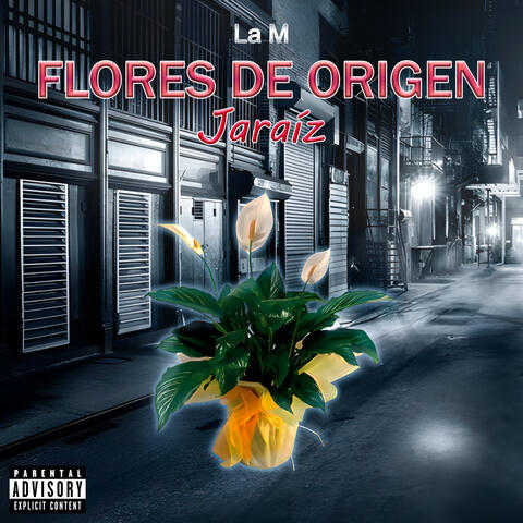 Flores De Origen Jaraiz