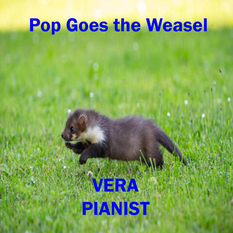 Pop Goes the Weasel