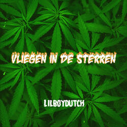 Vliegen in de Sterren