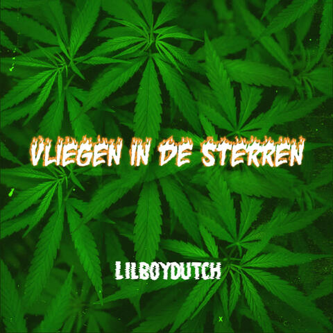 Vliegen in de Sterren