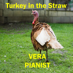 Turkey in the Straw