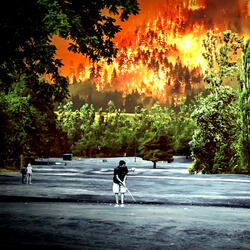 Episode III: The Waves in the Rivers of Bile