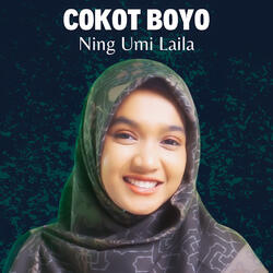 COKOT BOYO
