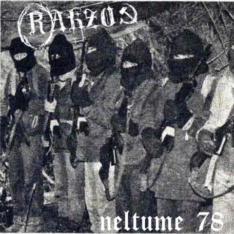 Neltume 78