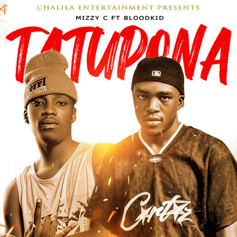 Tatupona