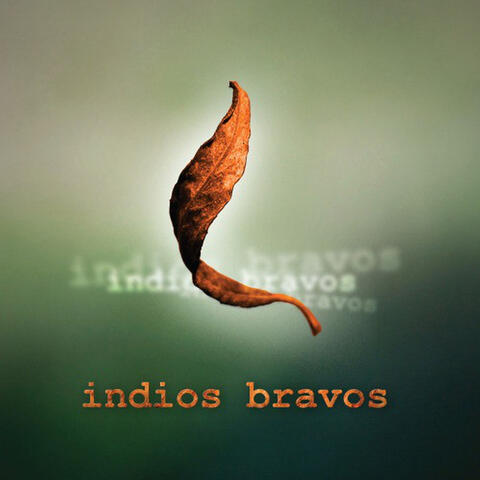 Indios Bravos