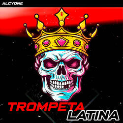 Trompeta Latina