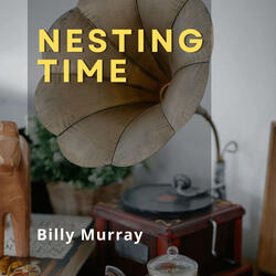 Nesting Time