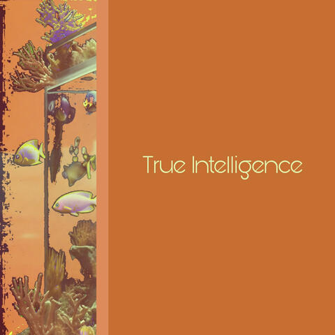 True Intelligence