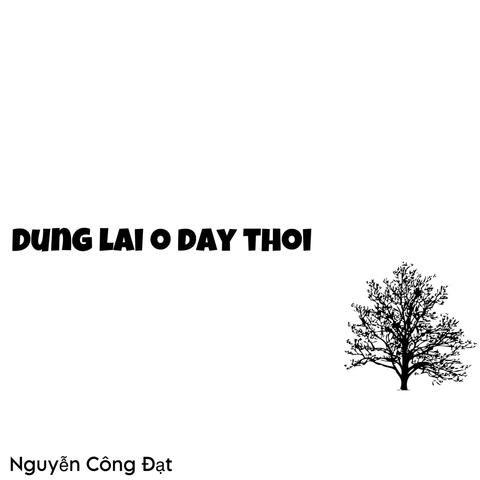 Dung Lai O Day Thoi