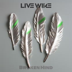 Broken Mind