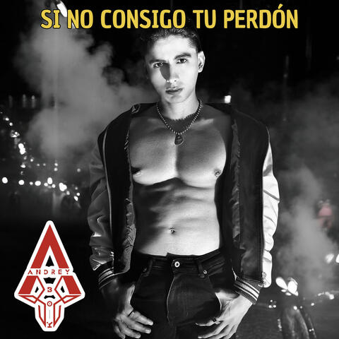Si no consigo tu perdón