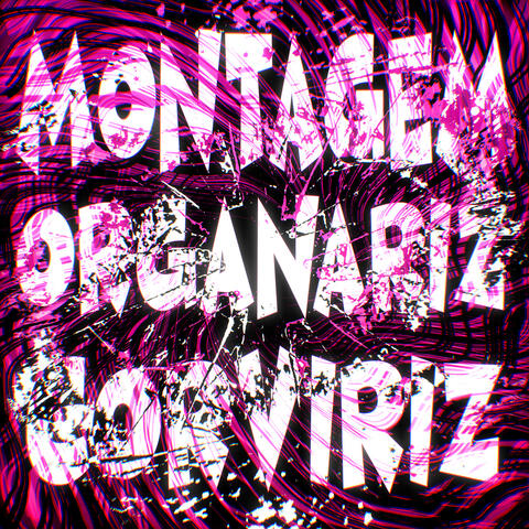 MONTAGEM ORGANARIZ CORVIRIZ