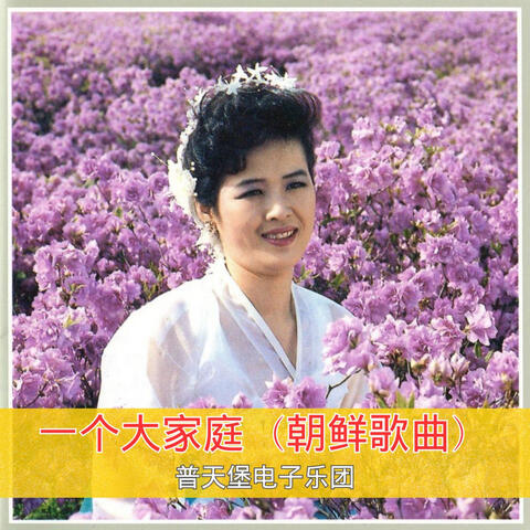 普天堡電子楽団| iHeart