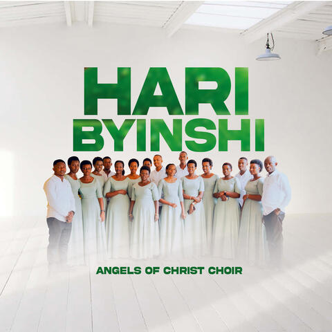 HARIBYINSHI