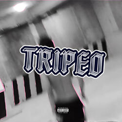 TRIPEO