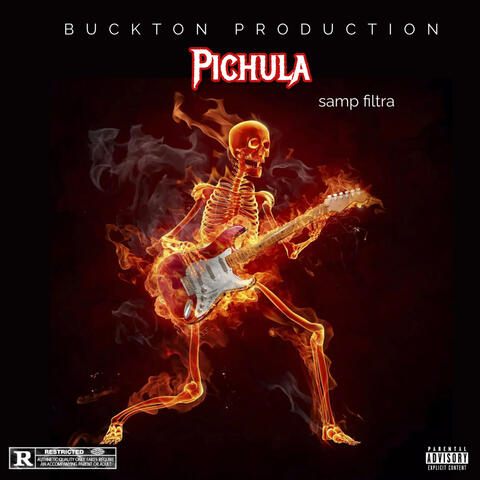 Pichula