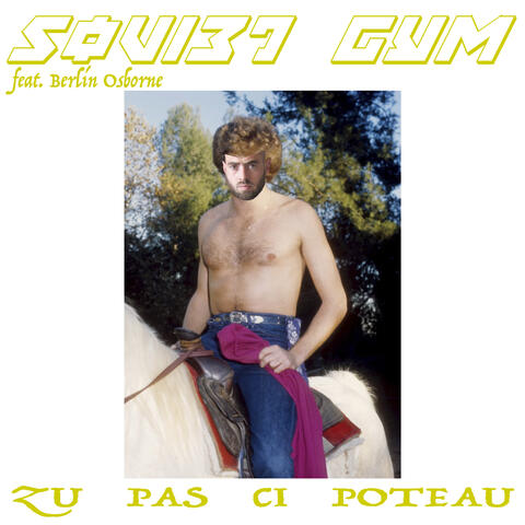 ZU PAS CI POTEAU