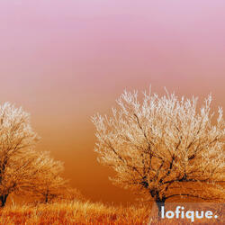 Frosted Dawn