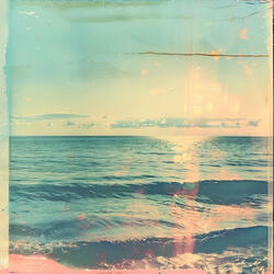 Sheltered from the Chaos