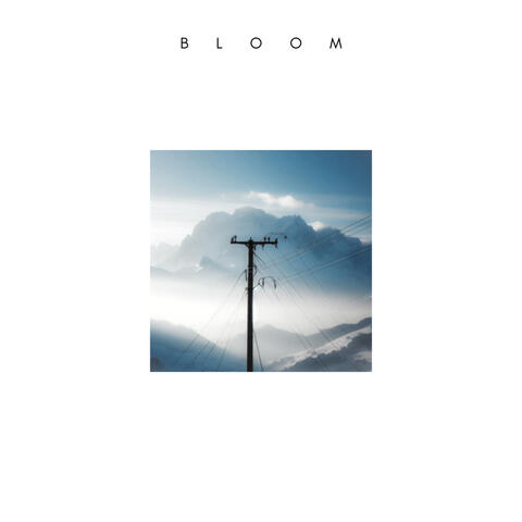 B L O O M