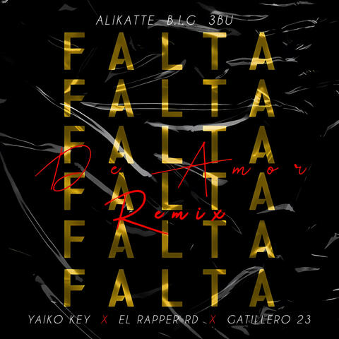 Falta de Amor