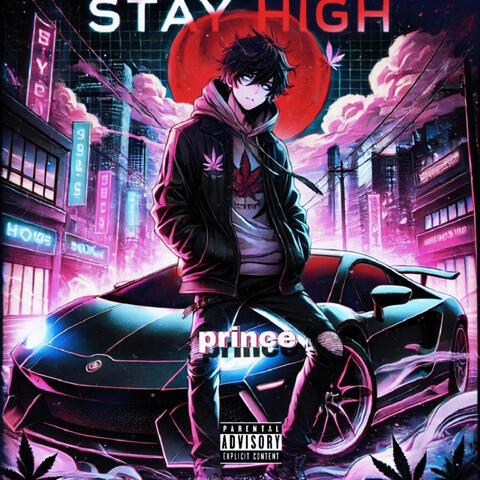 Stay High