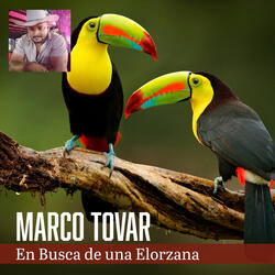 En Busca de una Elorzana