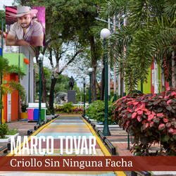 Criollo Sin Ninguna Facha